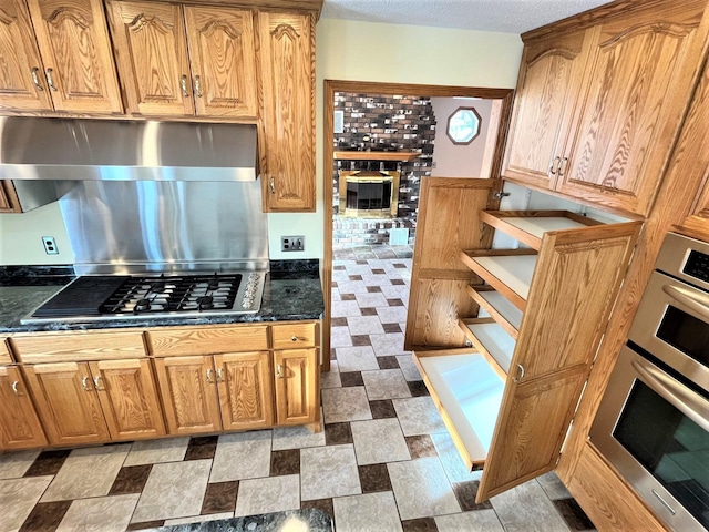 kitchen with ventilation hood and appliances with stainless steel finishes