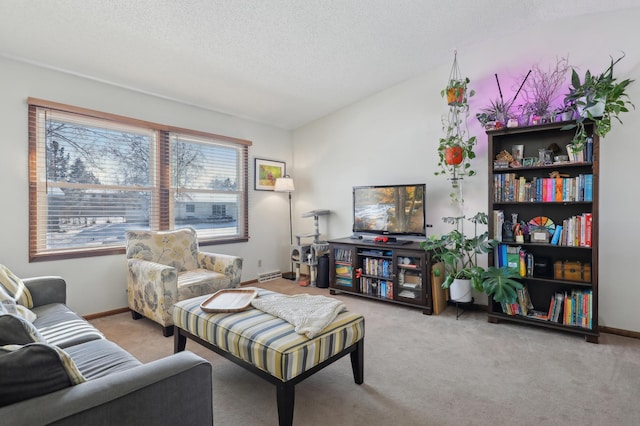 carpeted living room with a textured ceiling