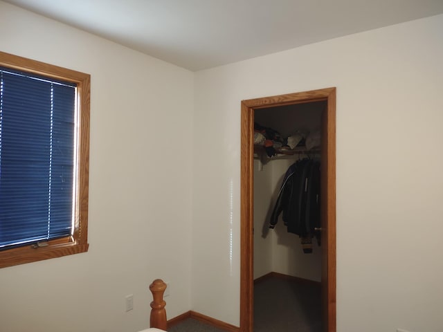 carpeted bedroom featuring a walk in closet and a closet