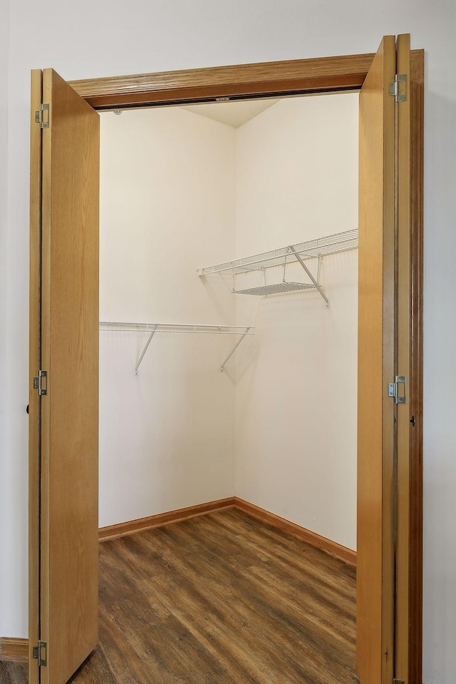 spacious closet with dark wood-type flooring