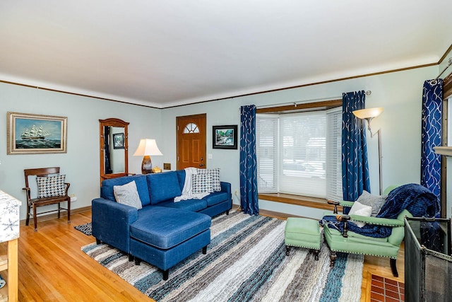 living room featuring wood-type flooring and crown molding