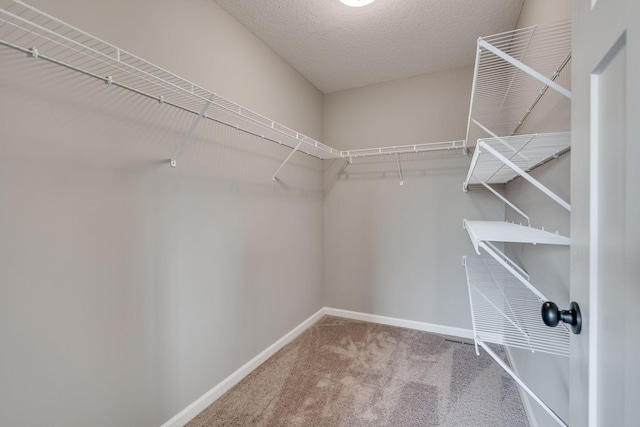 walk in closet with carpet flooring