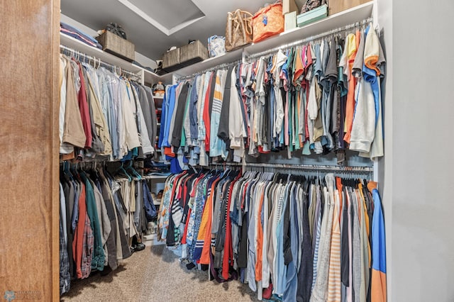 spacious closet with carpet flooring