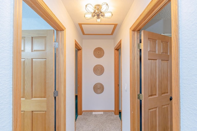 hallway with carpet flooring