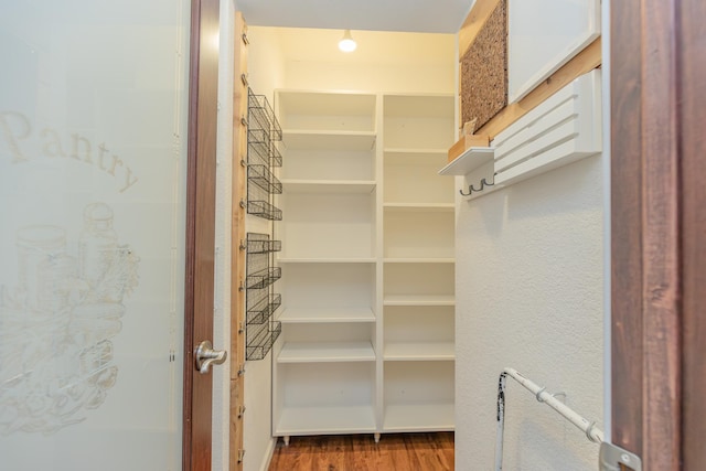 walk in closet featuring wood-type flooring