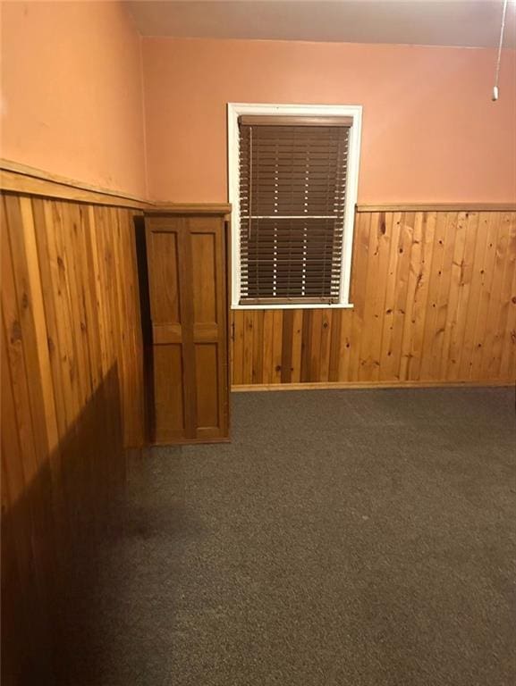 spare room with carpet, wooden walls, and wainscoting