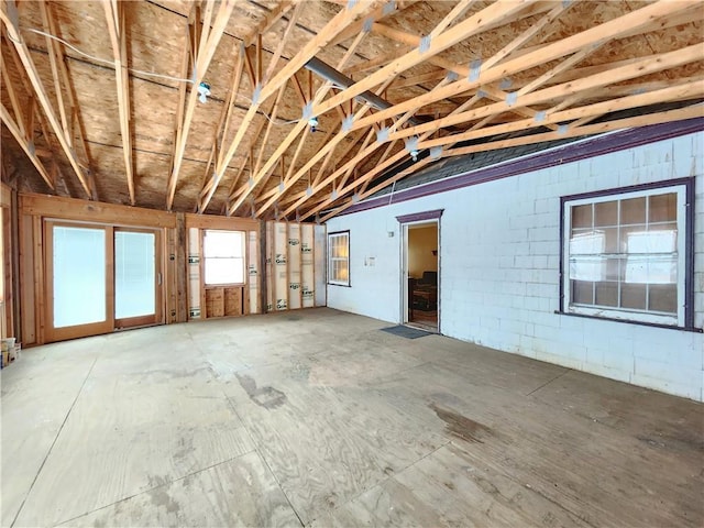 miscellaneous room featuring lofted ceiling