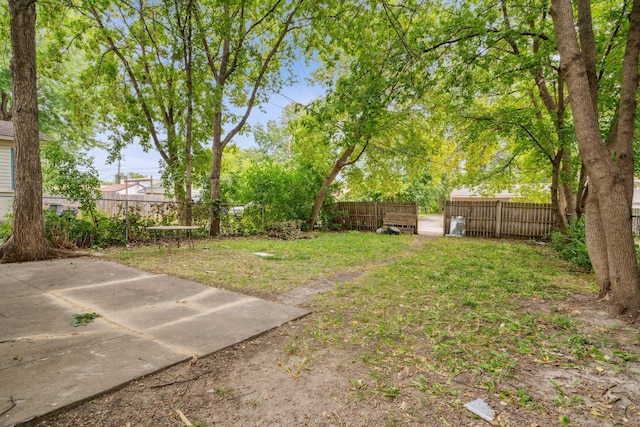 view of yard with a patio area