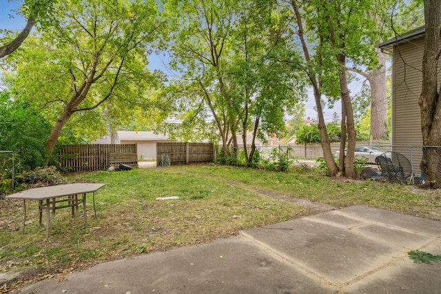 view of yard featuring a patio