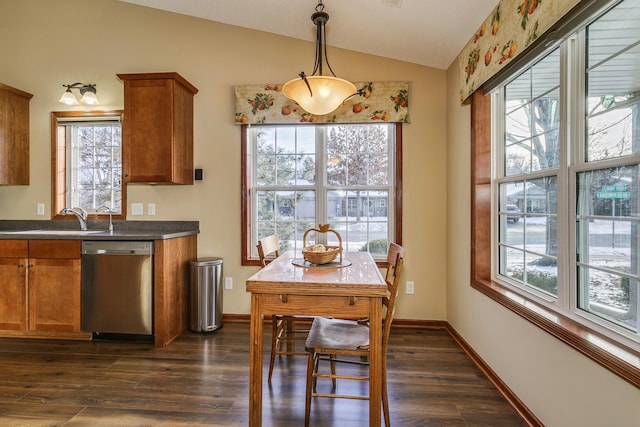 kitchen featuring dishwasher, sink, decorative light fixtures, dark hardwood / wood-style flooring, and lofted ceiling