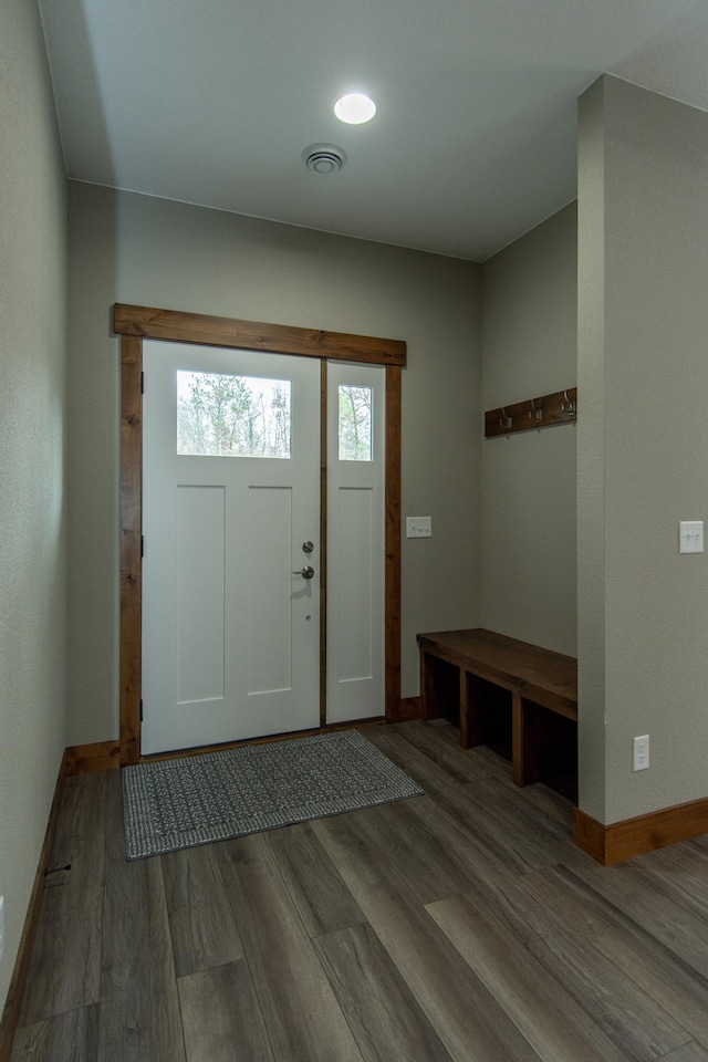 foyer entrance featuring wood-type flooring