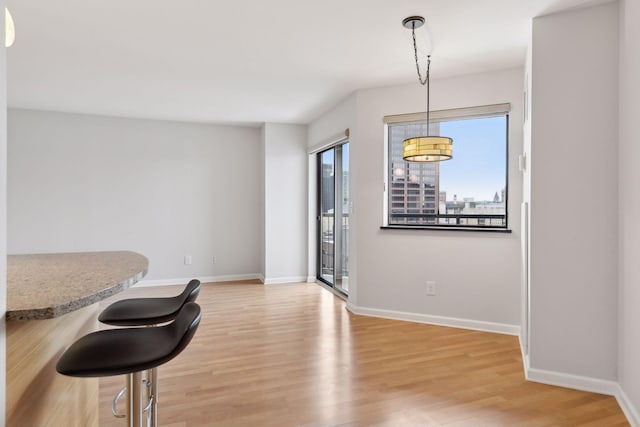 dining space with light hardwood / wood-style flooring