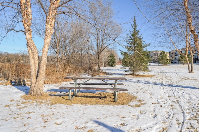 view of yard covered in snow