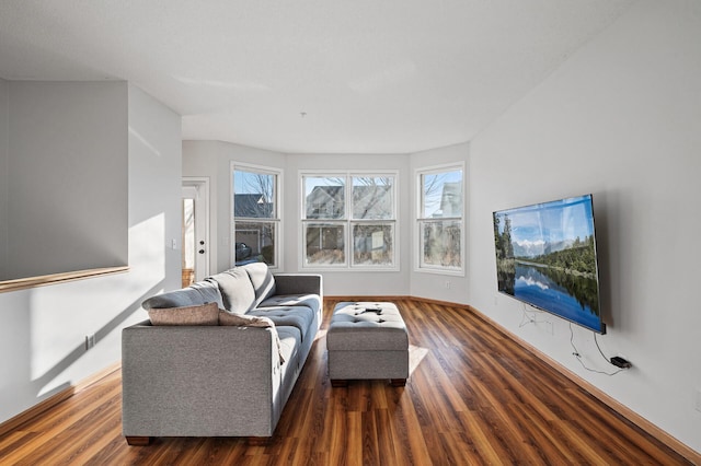 living room featuring dark hardwood / wood-style flooring