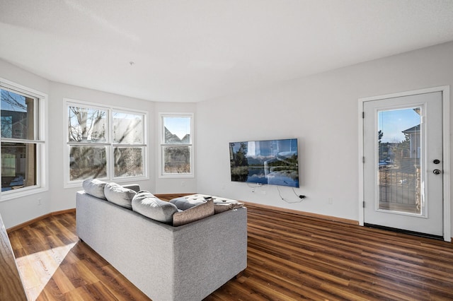 living room featuring dark hardwood / wood-style flooring