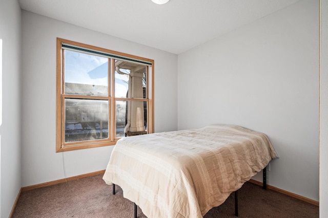 bedroom with carpet floors