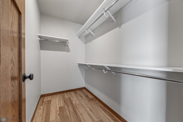 spacious closet featuring light hardwood / wood-style flooring