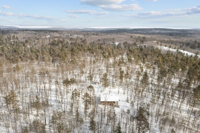 28255 Friendly Valley Rd, Washburn, WI 54891 - snowy aerial view featuring a wooded view