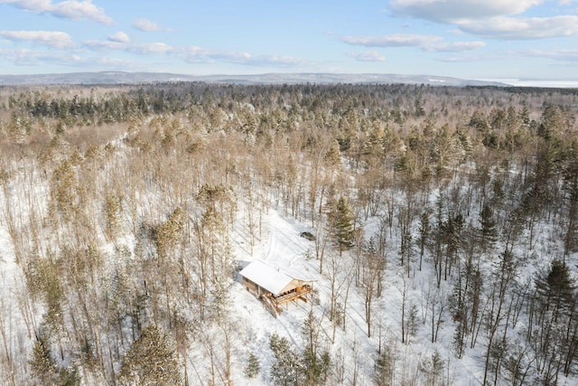 28255 Friendly Valley Rd, Washburn, WI 54891 - view of subject property featuring a heavily wooded area
