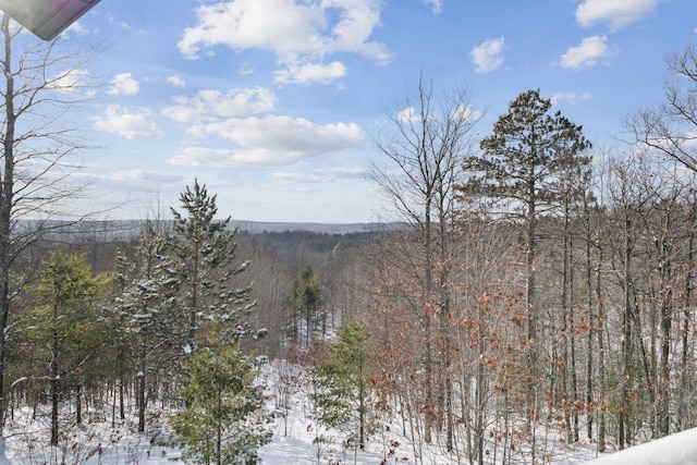 28255 Friendly Valley Rd, Washburn, WI 54891 - mountain view featuring a forest