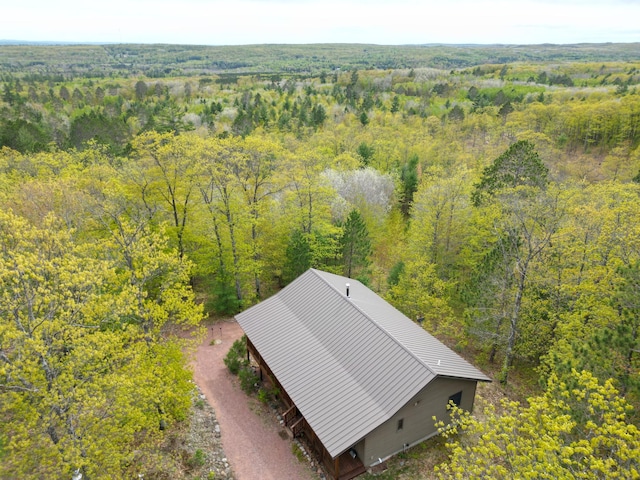 28255 Friendly Valley Rd, Washburn, WI 54891 - view of subject property with a heavily wooded area