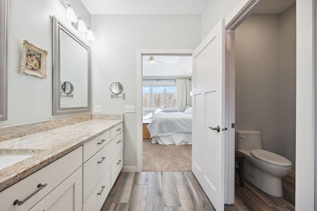 bathroom with hardwood / wood-style flooring, vanity, and toilet