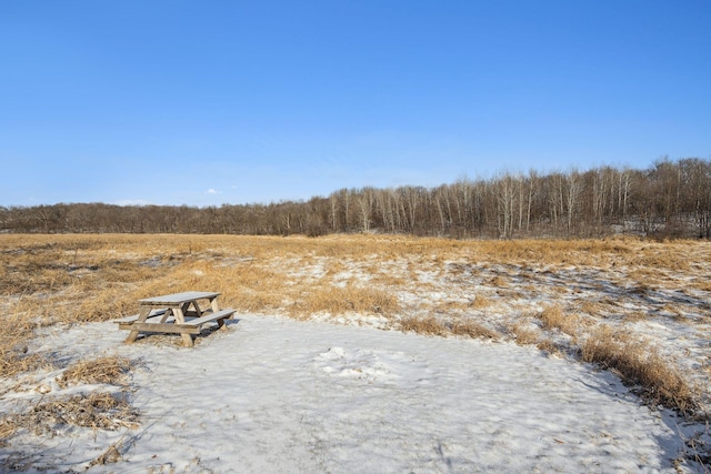 view of local wilderness