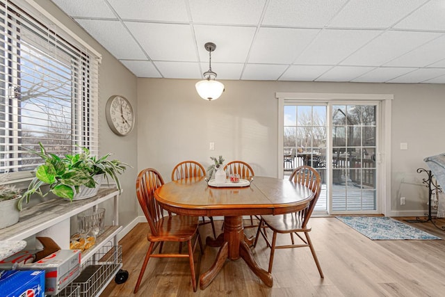 dining area with hardwood / wood-style flooring and a drop ceiling