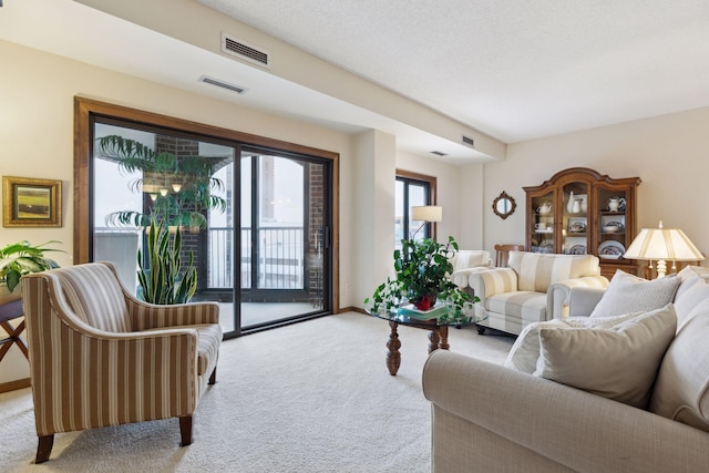 view of carpeted living room