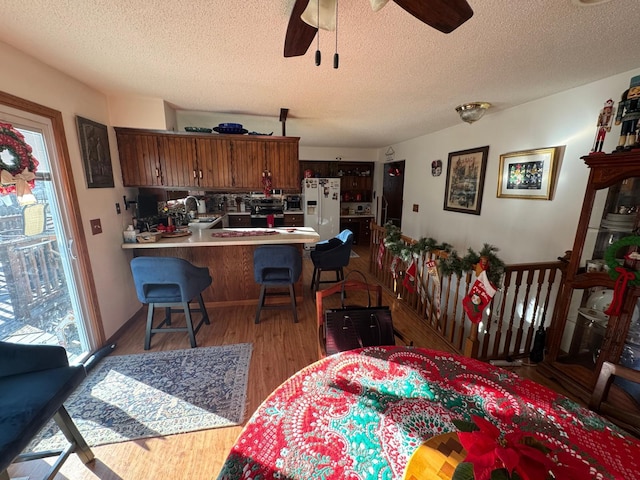 dining area featuring ceiling fan, sink, a textured ceiling, and light wood-type flooring