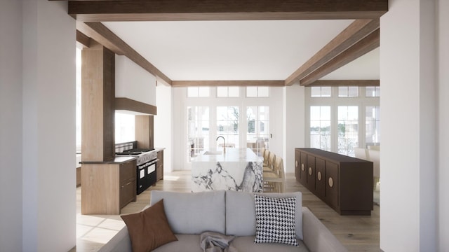 living room featuring sink and light wood-type flooring