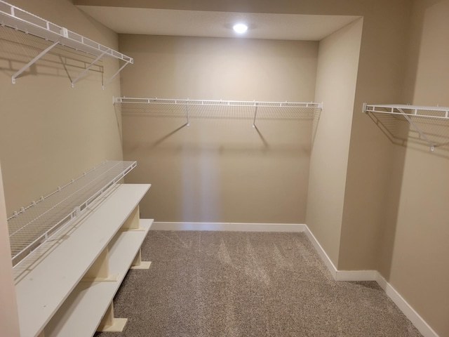 spacious closet with carpet