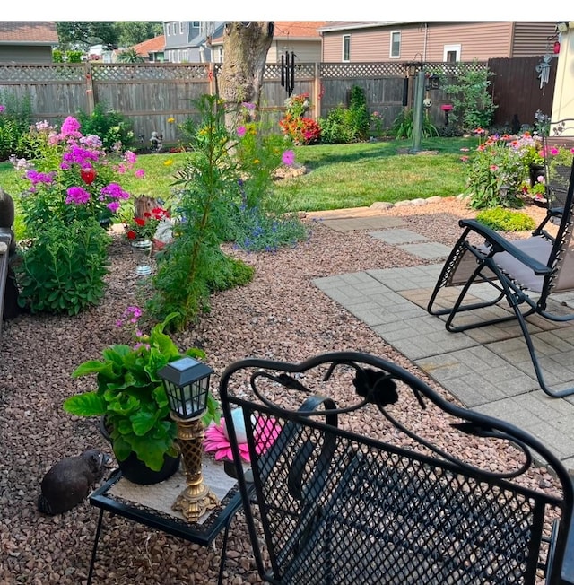 view of yard featuring a patio