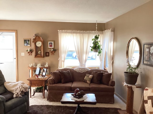 living room featuring a wealth of natural light