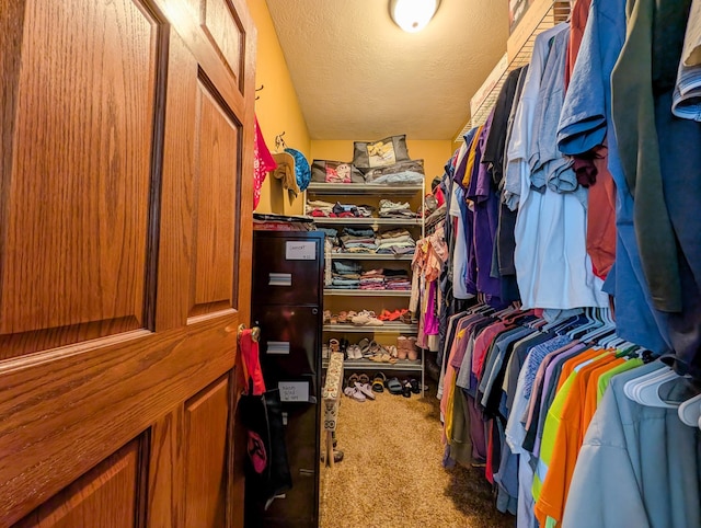 spacious closet featuring carpet