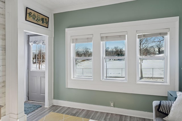 doorway to outside featuring a healthy amount of sunlight, crown molding, baseboards, and wood finished floors