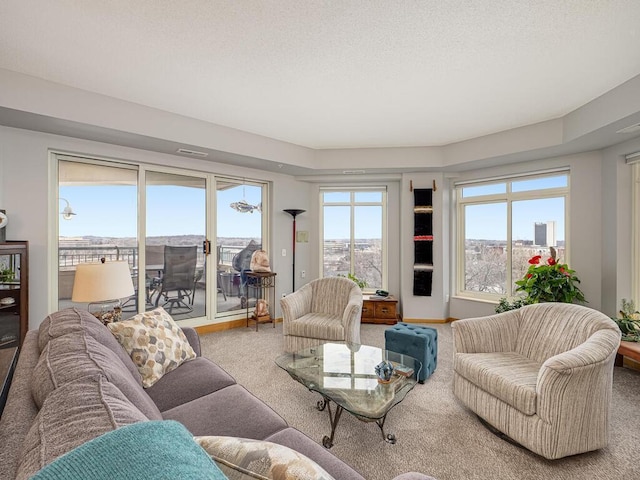 living room featuring carpet and a textured ceiling