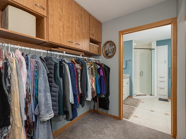 walk in closet with light colored carpet