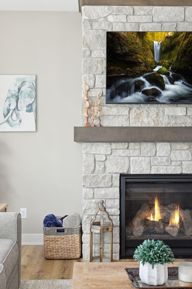 details with wood-type flooring and a fireplace