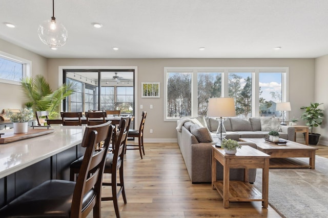 living room with light hardwood / wood-style floors