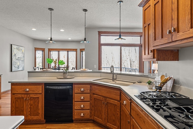 kitchen featuring brown cabinetry, light wood-style flooring, black appliances, and a sink