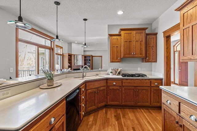 kitchen with light wood-style flooring, black dishwasher, brown cabinets, and a sink