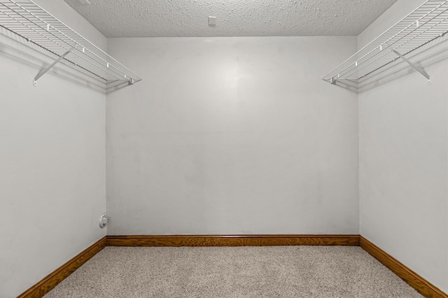 spacious closet with light colored carpet