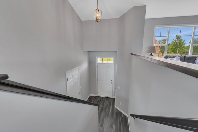 foyer entrance with dark hardwood / wood-style flooring