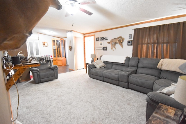 living room featuring ceiling fan, crown molding, and carpet flooring