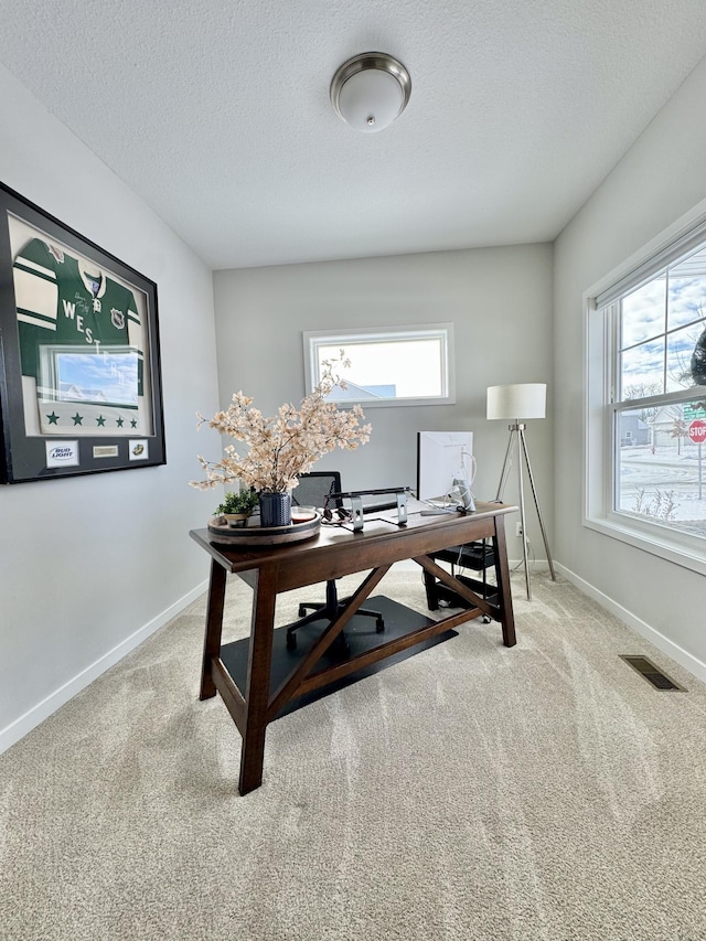 office area featuring light carpet and a textured ceiling