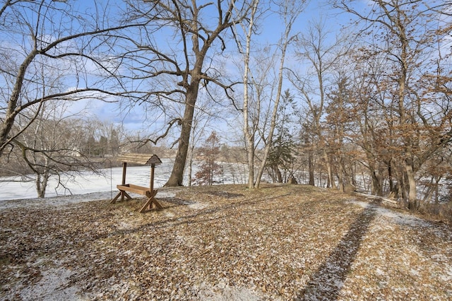 view of snowy yard