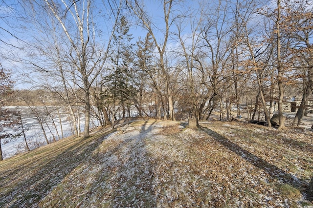 view of snowy yard