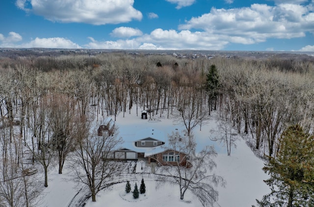 view of snowy aerial view