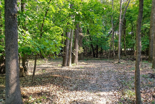 view of landscape